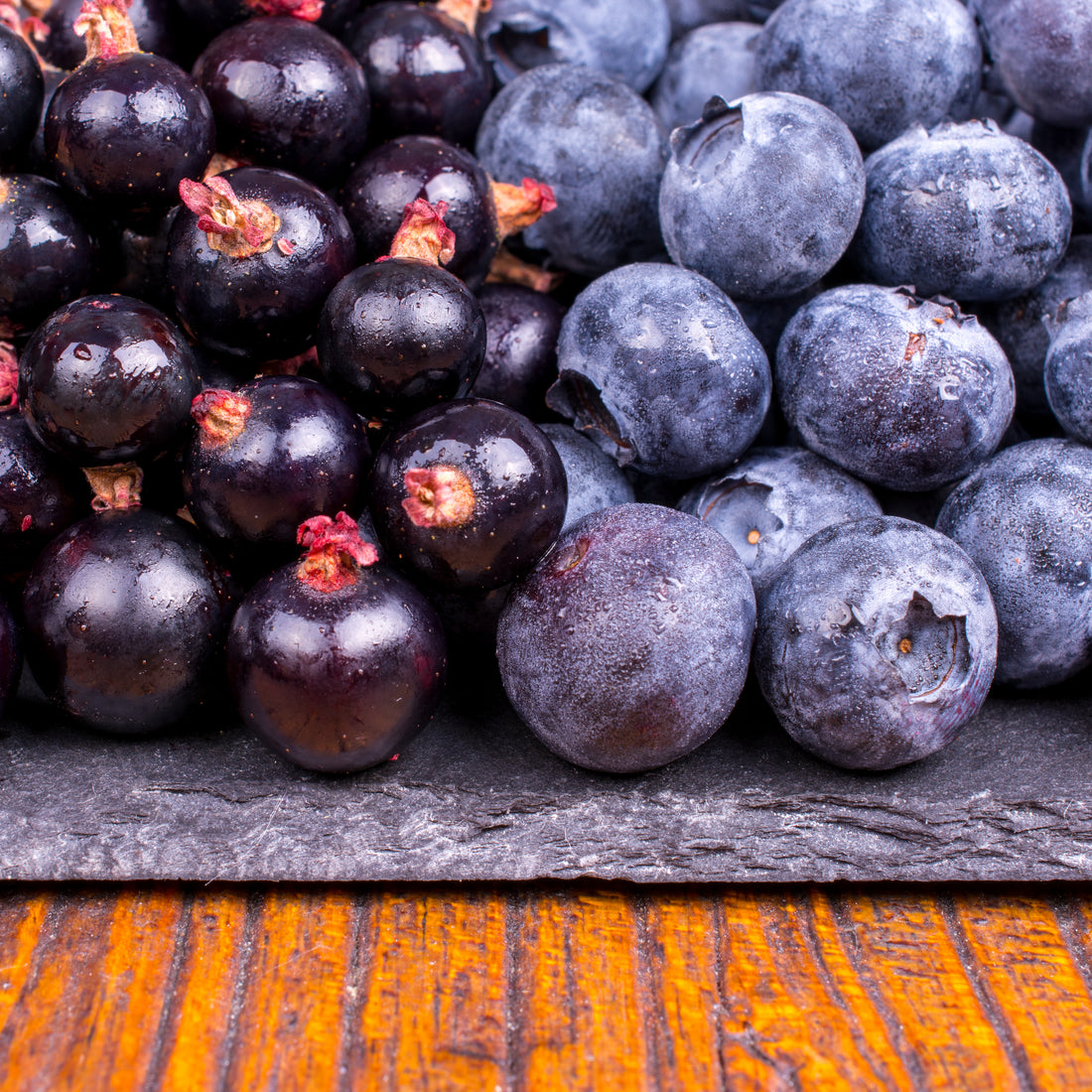 Blackcurrants prove pick of the bunch in large Italian berry study