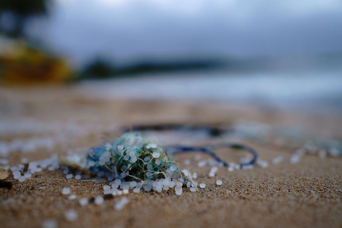 Plastic Penetration and Potential Plant Protection: A Physician’s Perspective